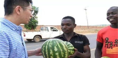 校园暴力黑料吃瓜,揭开校园霸凌的阴暗面