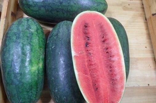 黑料社网红精品吃瓜